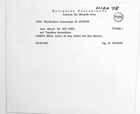 Image Associated With the Occurence